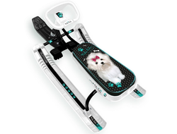 Продажа снегокатов Team Sport 2.0 (Black/White) в Иркутске по низким ценам