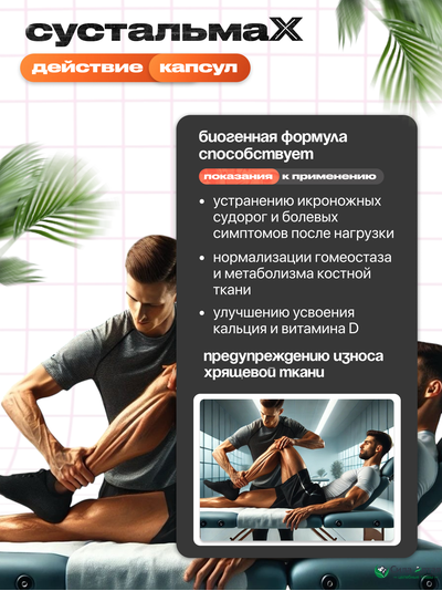 Сустальмакс: нейронные связи и здоровье вен