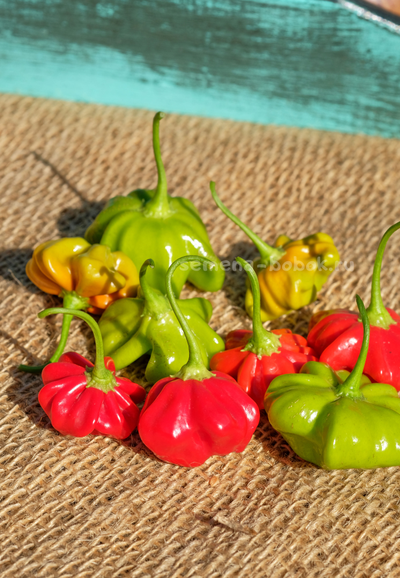 Перец острый Brazilian Starfish (Бразильская Морская Звезда), 10 шт