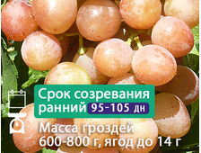 Волжские зори