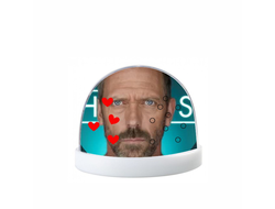 Водяной шар Доктор Хаус №17