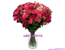 �������� ����