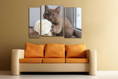 Модульная картина "Кот с розой"