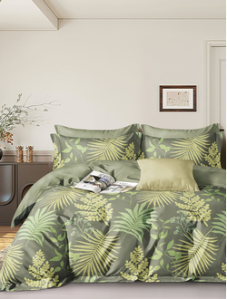 Постельное белье евро TANGO Twill 200x220x1 230x250x1 50x70x2 TPIG3-1939