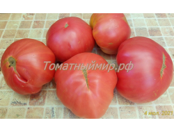 Томат Силезская малина (Schlesische Himbeere), Германия