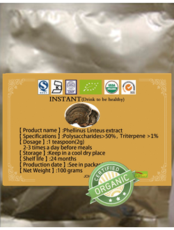 Грибная аптека Трутовик дубовый,Санхван,лечебные свойства применение,трутовики купить в аптеке Сочи.