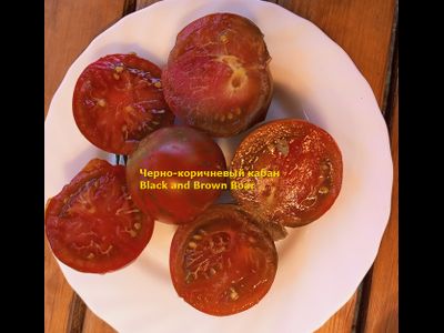 Томат Кабан чёрно-коричневый (Black and Brown Boar)