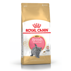 Royal Canin (Роял Канин) British Shorthair Kitten Сухой корм для британских короткошерстных котят в возрасте до 12 месяцев, 400 г