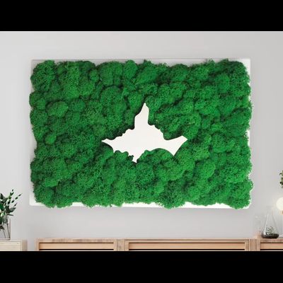 ЖИВАЯ ЭКО-КАРТИНА 1032