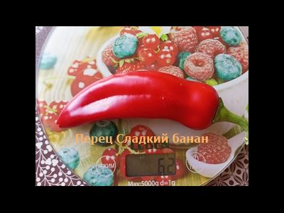 Перец сладкий Сладкий банан (Sweet Banana)