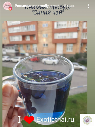 Тайский синий чай из цветков анчана в упаковке дой-пак. 10г.