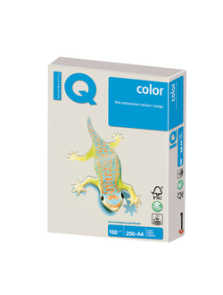 Бумага цветная IQ color, А4, 160 г/м2, 250 л., тренд, серая, GR21
