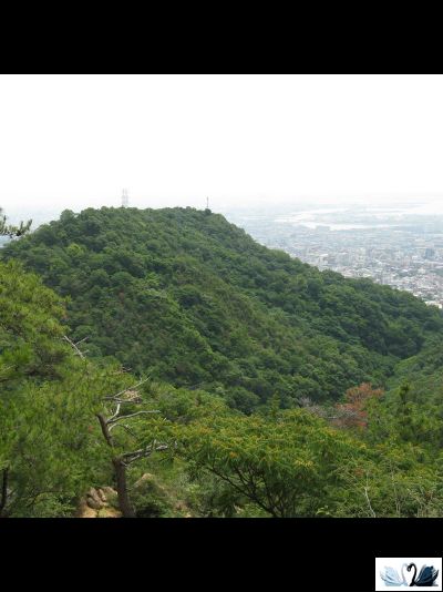 Керамогранит Belani Tokao светло-бежевый 60х60 cм матовый Береза керамика