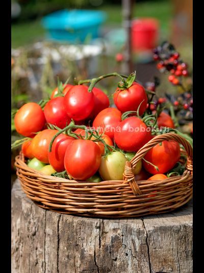 Томат Царица Полей, 10 шт