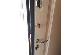 Торекс Снегирь