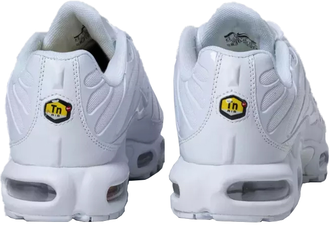 Nike Air Max TN Plus Neutral Grey White
