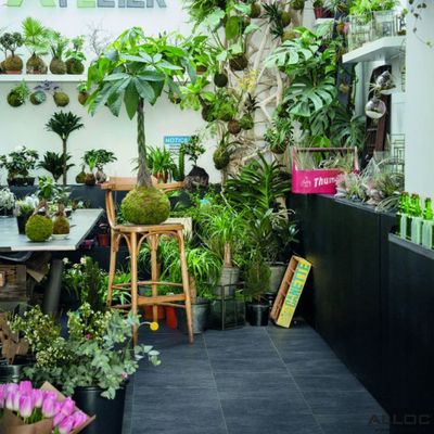 Ламинат Alloc Grand Avenue Stone Роут 66 1469 34 класс толщина 12.3 мм с фаской и подложкой 2.32 м2