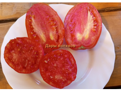 Томат Дары волхвов
