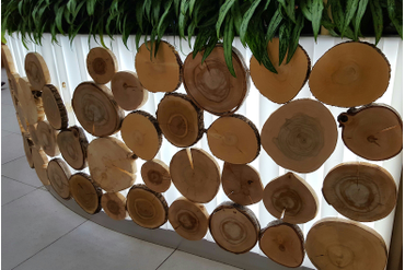 Декор на фудкорте спилами разных пород дерева, МЕГА Теплый Стан, г.Москва.