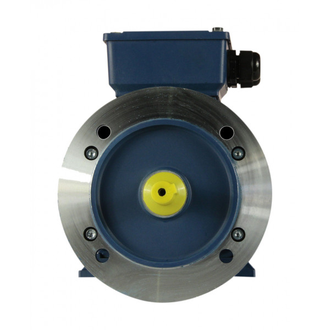 Электродвигатель 5АИ 63А4 (0,25 кВт) IM 2081