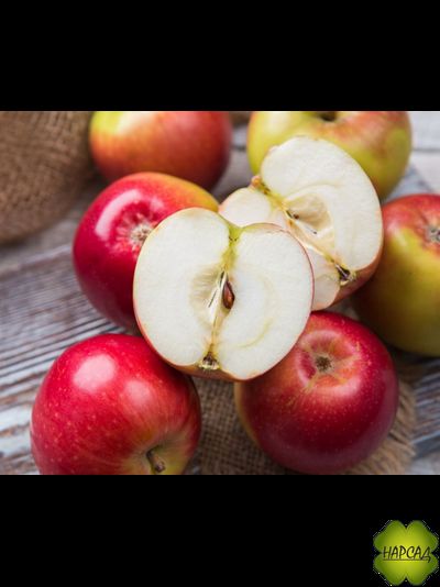 Яблоня "ОРЛИК" (компактная, урожайная, очень сочная) Саженец 3 года