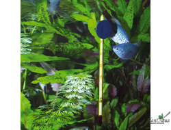 JBL Aquarium Thermometer Тонкий стеклянный термометр