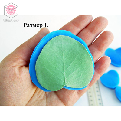 Вайнеры и каттеры "Лист эвкалипта"