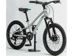 Велосипед TT277/ 7скоростей 20" Серебряный рама 10,5"