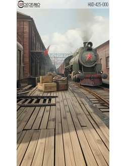 Фотофон виниловый «Прибытие на вокзал»