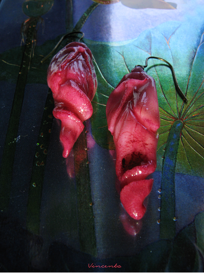 Восточные серьги-лепестки &quot;Нежность Востока, Дух Сакуры&quot;