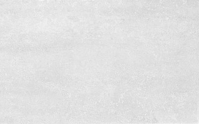 КАРТЬЕ СЕР ВЕРХ 01 250Х400