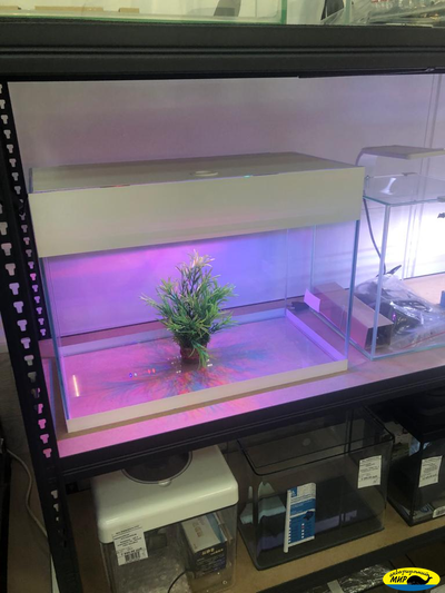 Аквариум 70л. с крышкой 60*46(h)*30 без ламп