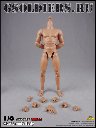 Тело мускулистое с шеей 1/6 - NEW:2.0 Body NO: BD003 - COOMODEL