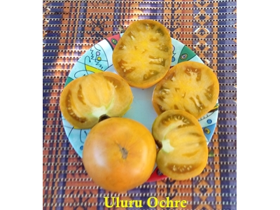 Томат Гном Улуру охра (Dwarf Uluru Ochre), США, Австралия