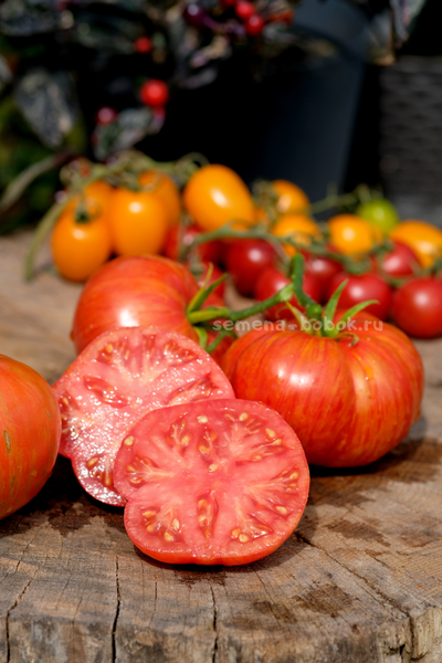 Томат Брендивайн Полосатый (Brendywine Striped), 10 шт