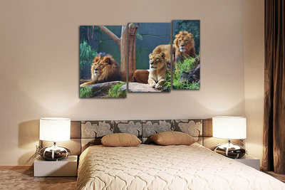 Модульная картина "Внимательные взгляды"