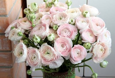 Вайнеры и каттеры "Лепестки ранункулюса"