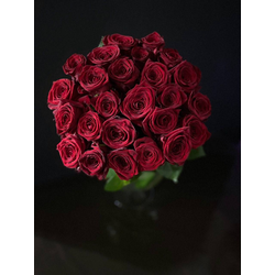 Роза  Россия  60 см. 25 шт.