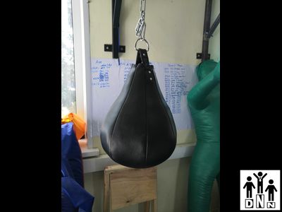 Груша боксерская из натуральной кожи свыше 2,0мм ( ГБН22-2) 8кг DNN