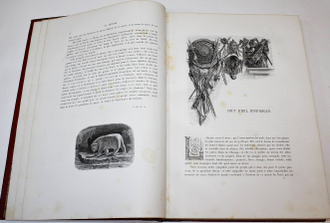Артамов П. Россия историческая, монументальная и живописная. В 2-х томах. [На фр. яз.] Paris: Ch. Lahure, 1862-1865.
