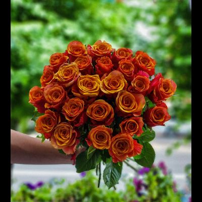 Роза Россия 50 см 25 шт