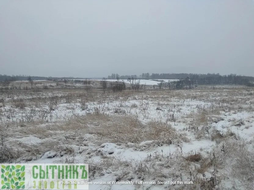 Фермерское хозяйство и зимние продукты питания