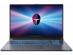 Thunderobot 911 PLUS NX  17.3" 2K IPS 165Hz 16 ГБ, (SSD)1 ТБ  Win 11 Серый