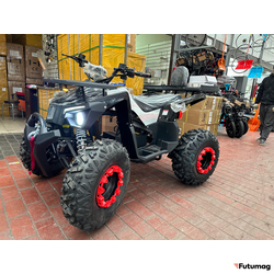 Электроквадроцикл Ikingi 225