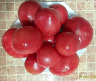 Томат Роза Техаса