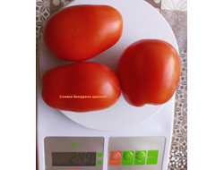 Томат Сливка Бендрика красная