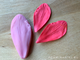 Молд «Лепесток бегонии #5» (ELF_decor)
