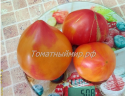 Томат Полуночное солнце (Midnight Sun)