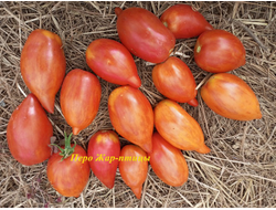 Томат Сливка полосатая