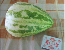 Разные растения (экзотика и не совсем)